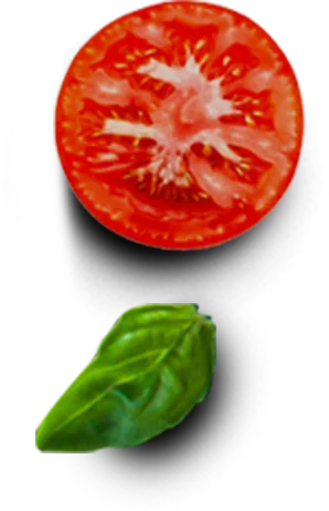 Tomato and leaf